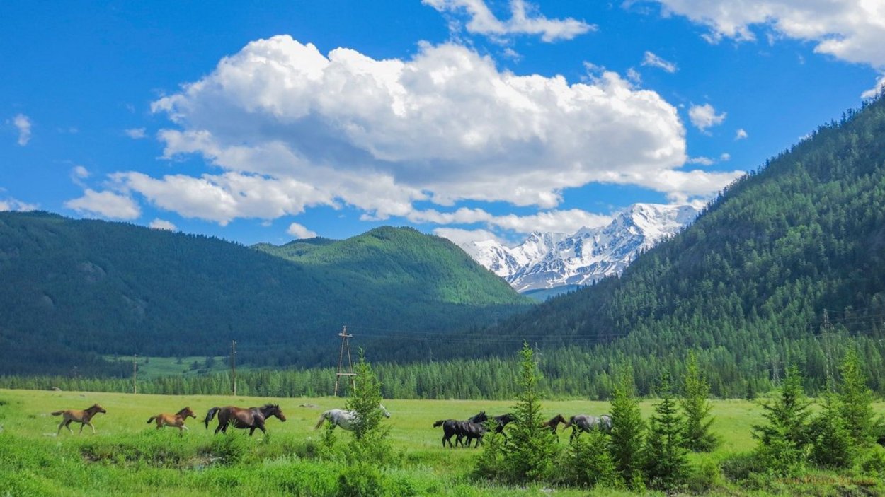 Бердские скалы Новосибирская область