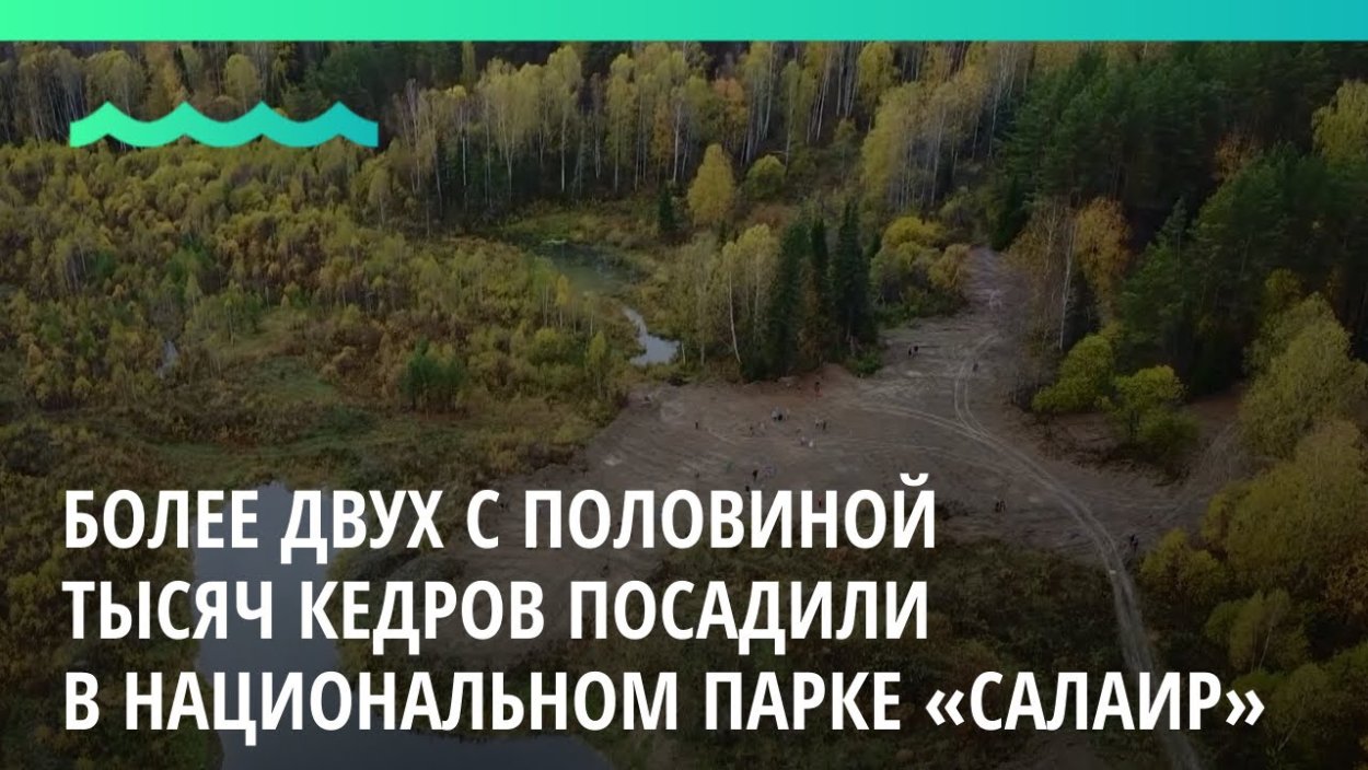 Водопад с белыми цветами