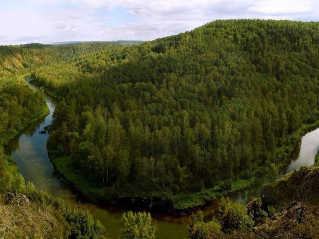 Салаирский Кряж Новосибирская