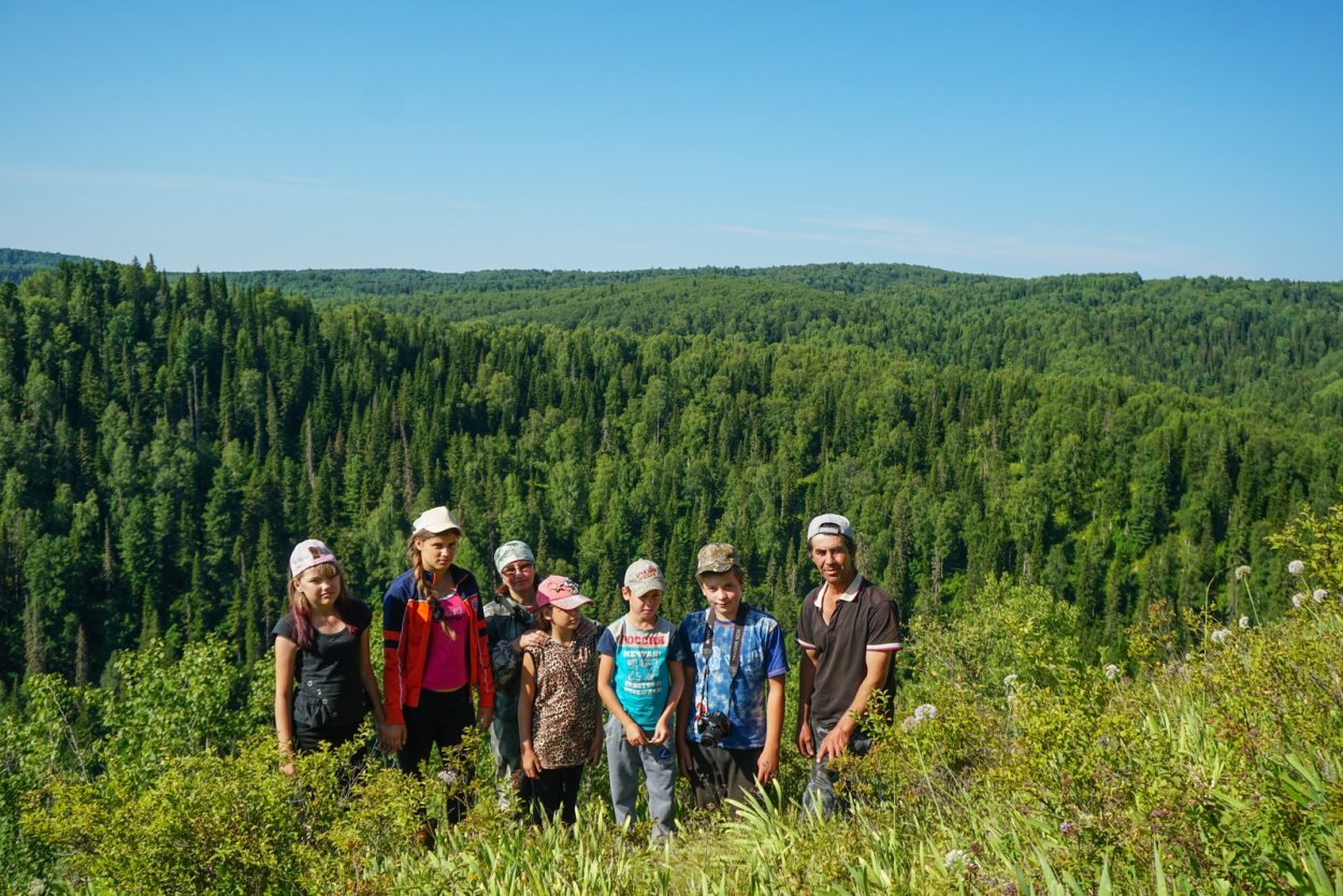 Салаир Алтайский край кедр