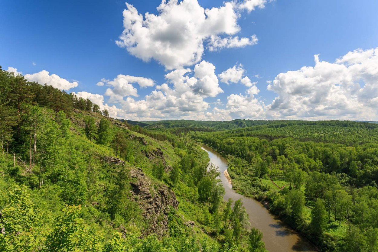 Горный Алтай горный Марал