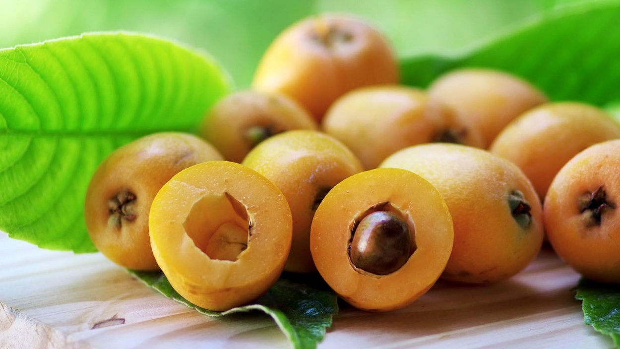 Нисперо мушмула