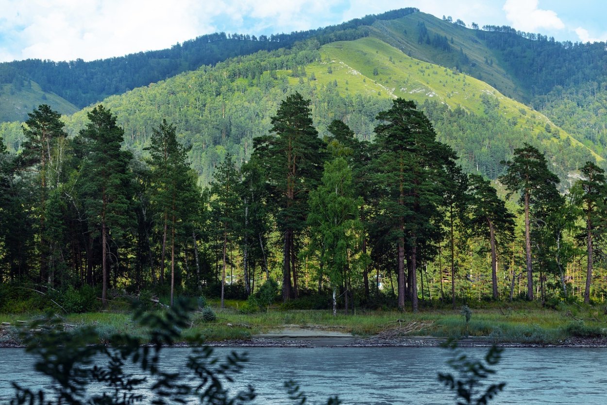 Чертов мост Салаир