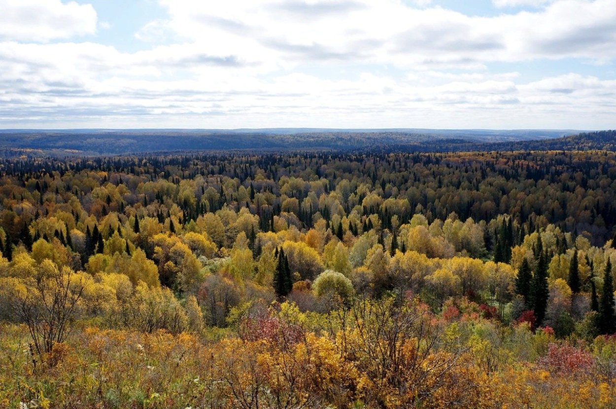 Салаир парк