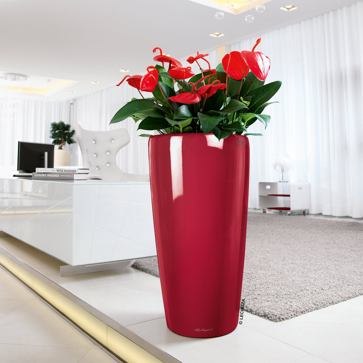 Кашпо Лечуза Рондо