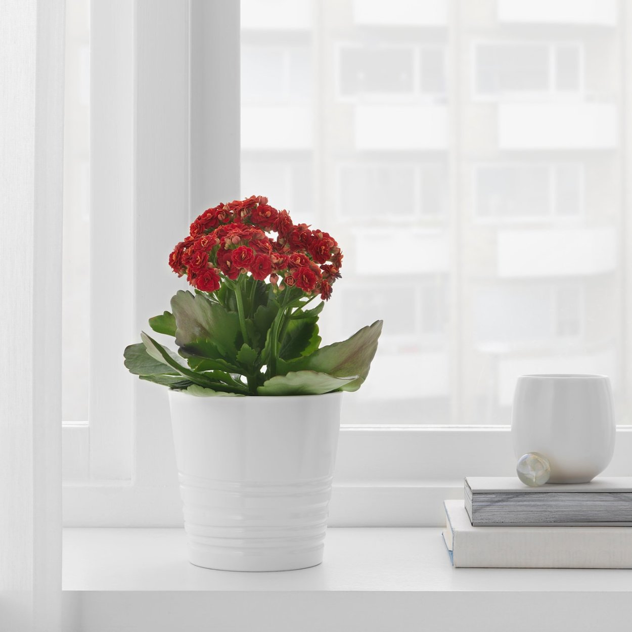 Muskot МУСКОТ кашпо белый 9