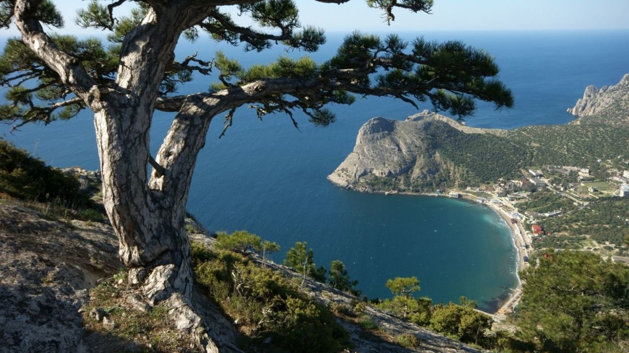 Реликтовая можжевеловая роща Судак