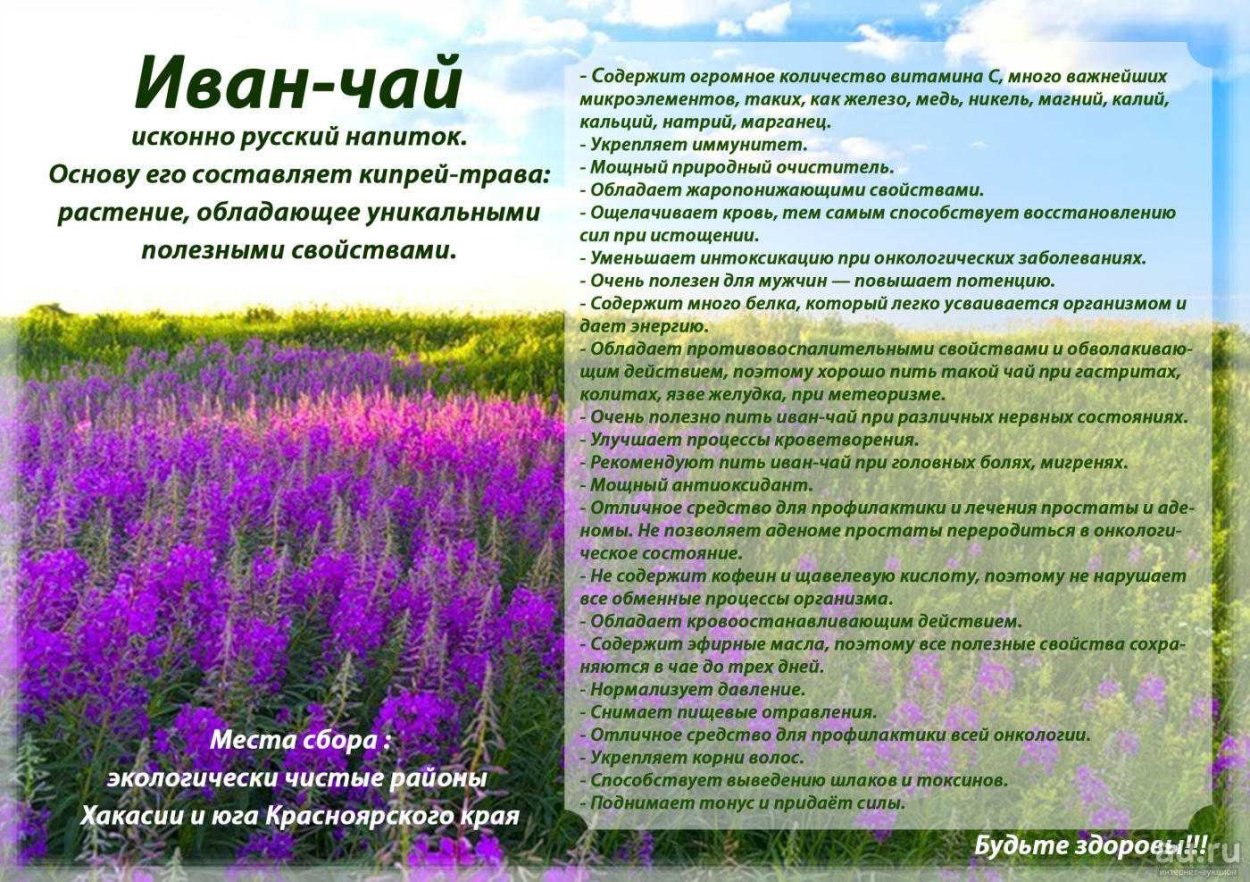 Брелок-пейджер Mongoose LS 9000d