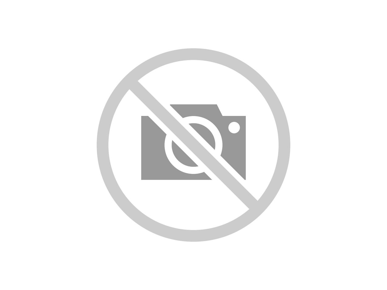 Донник лекарственный (донник жёлтый).