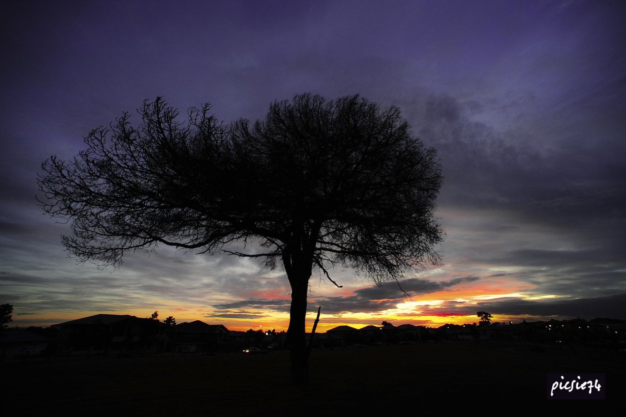 Асимметрия в природе