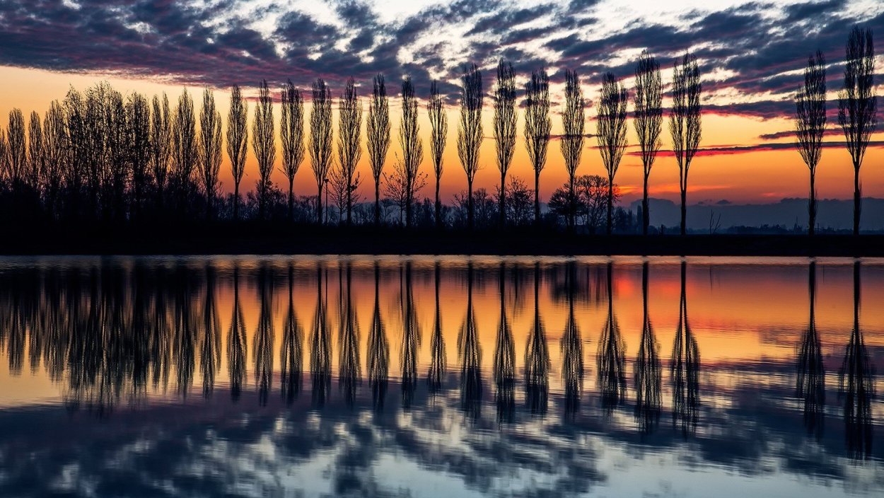 Природа отражение