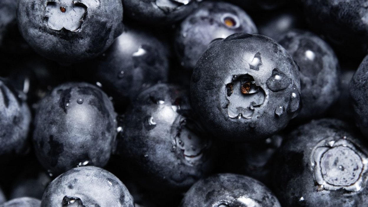 Черника обои