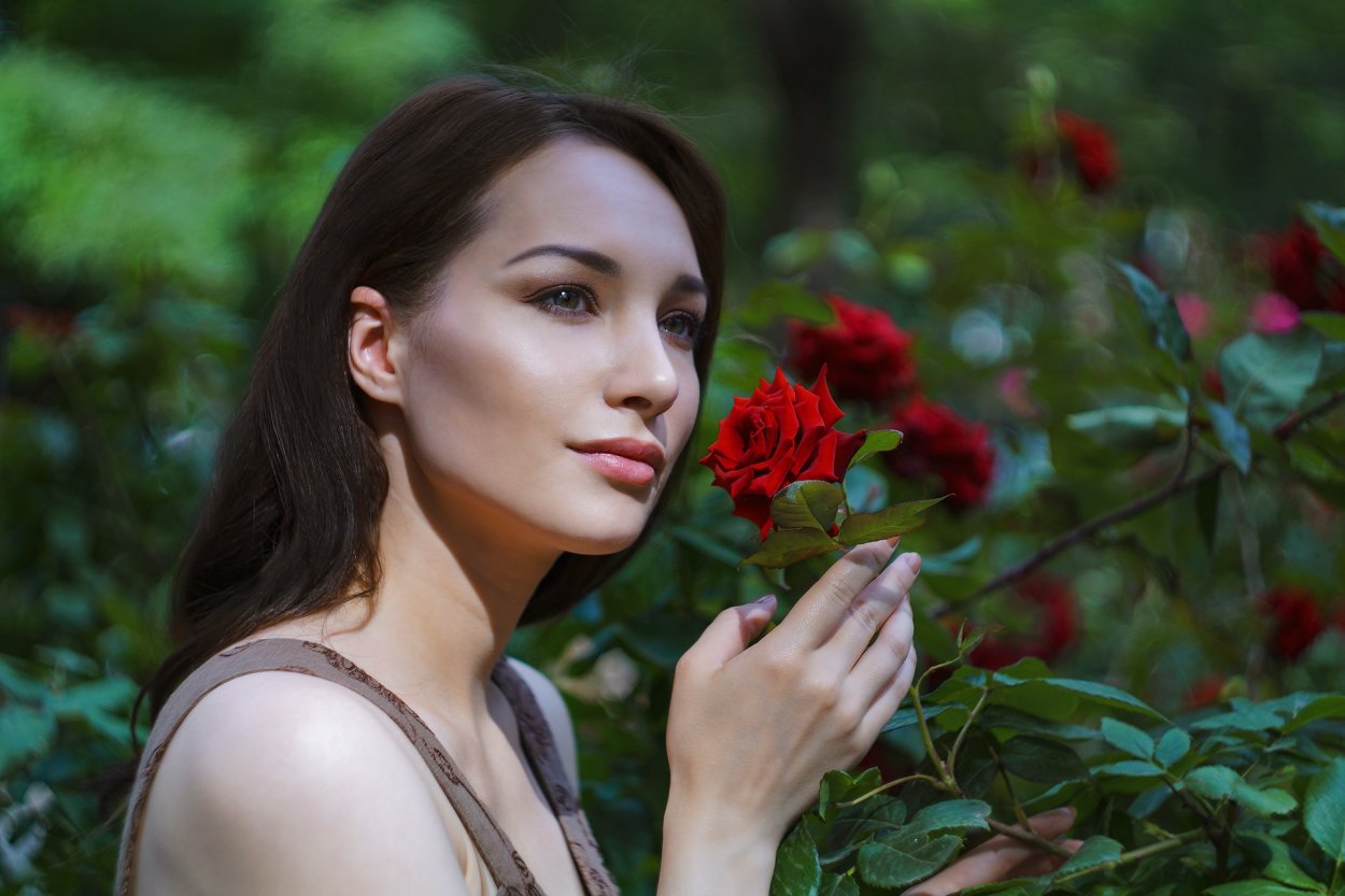 Камелия кустарник