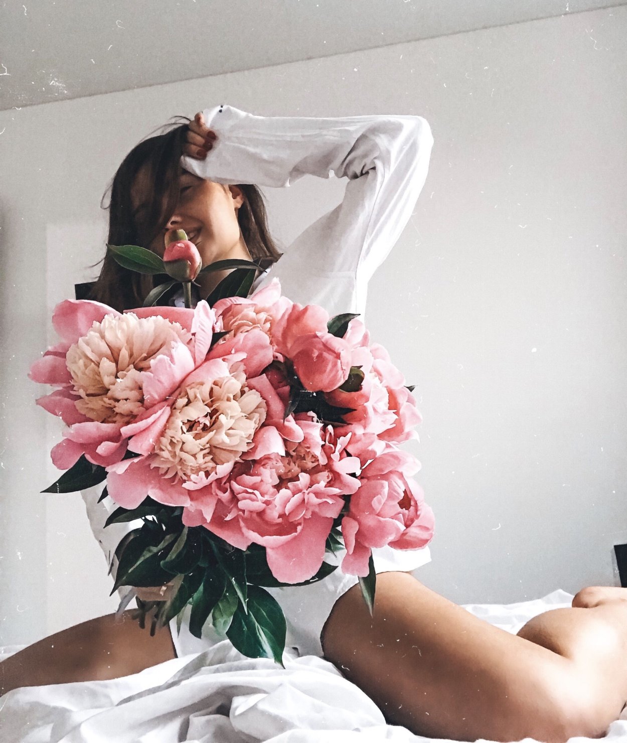 Камелия Бурбон слив