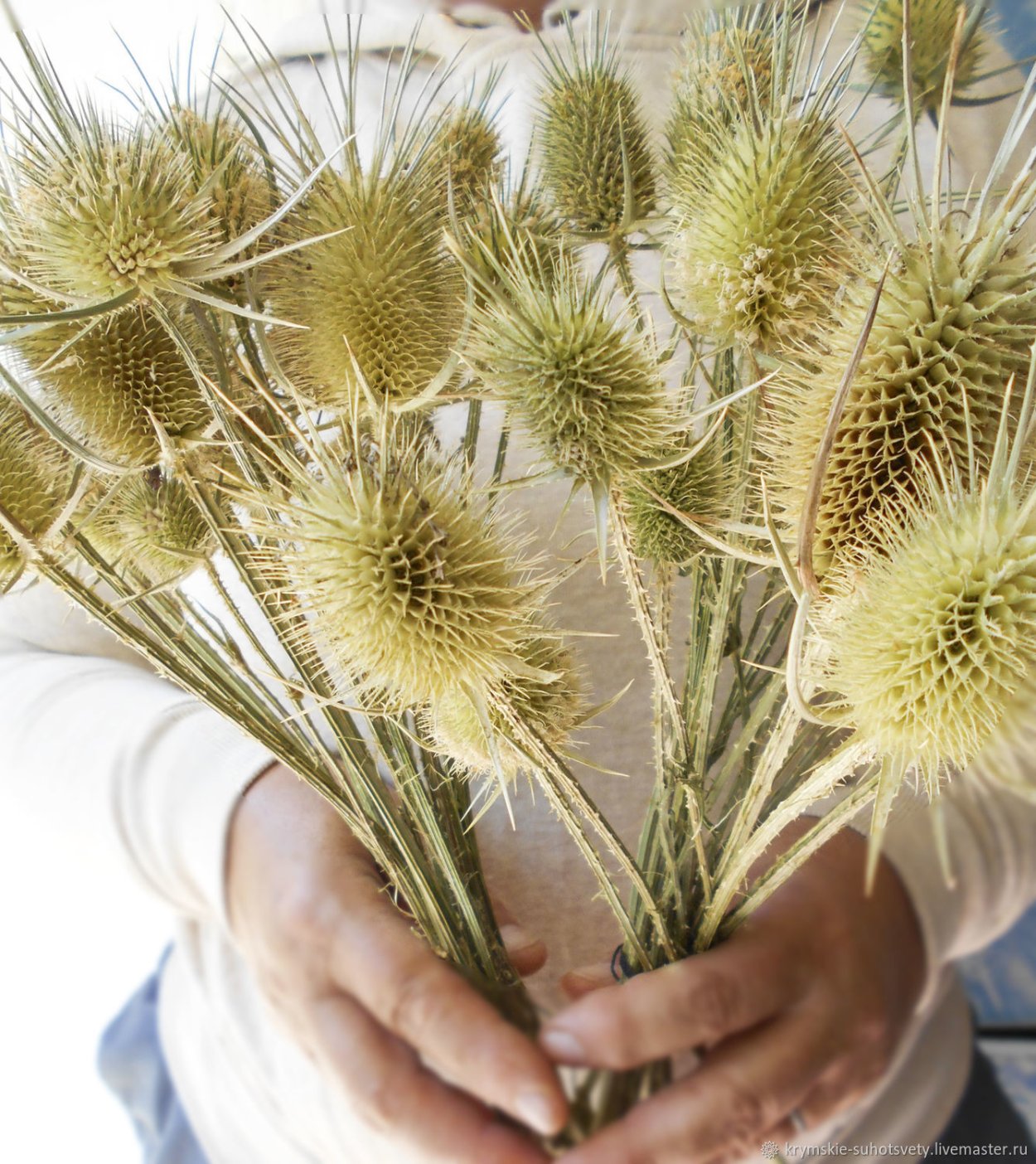 Брелок-пейджер Mongoose LS 9000d