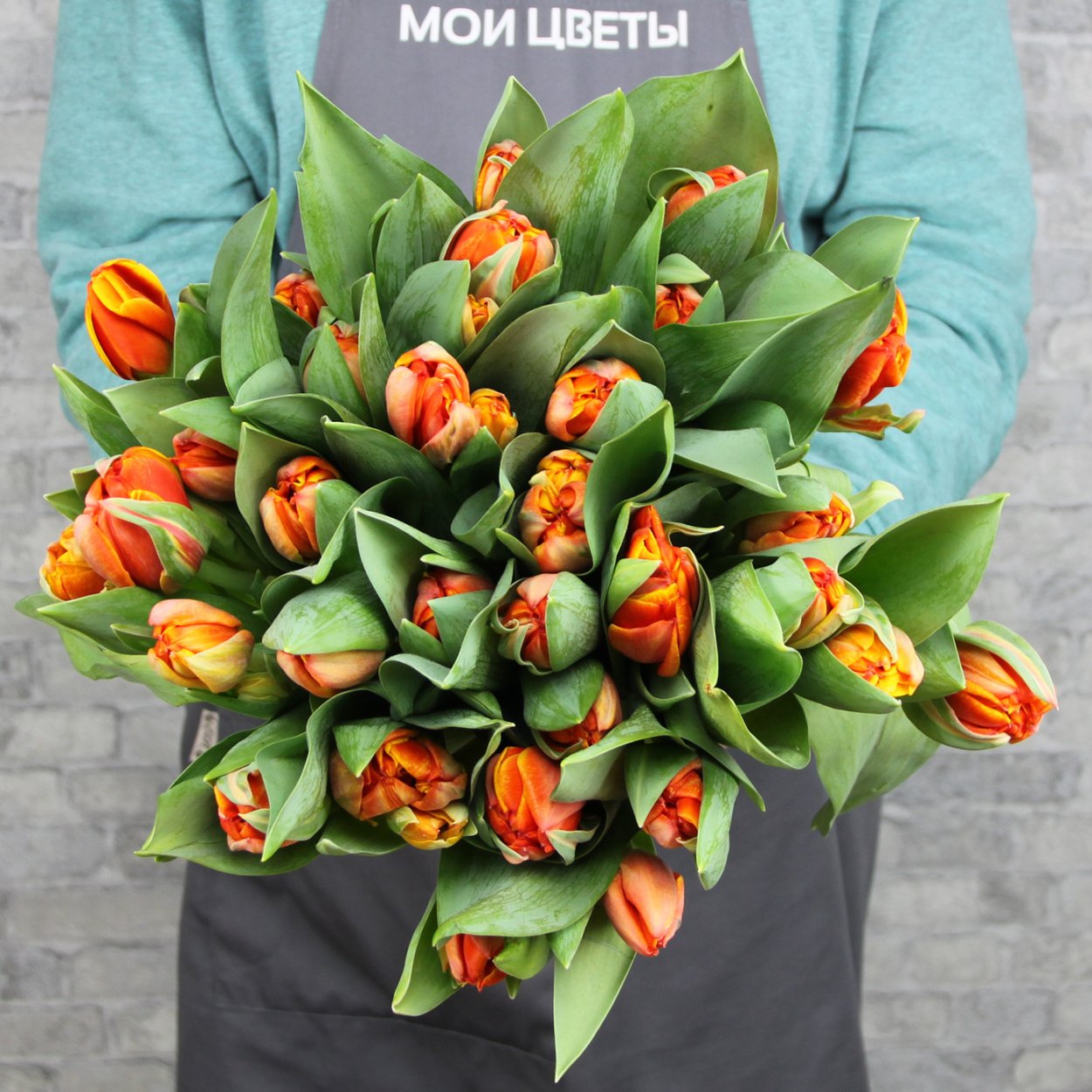 Тюльпан оранж рококо