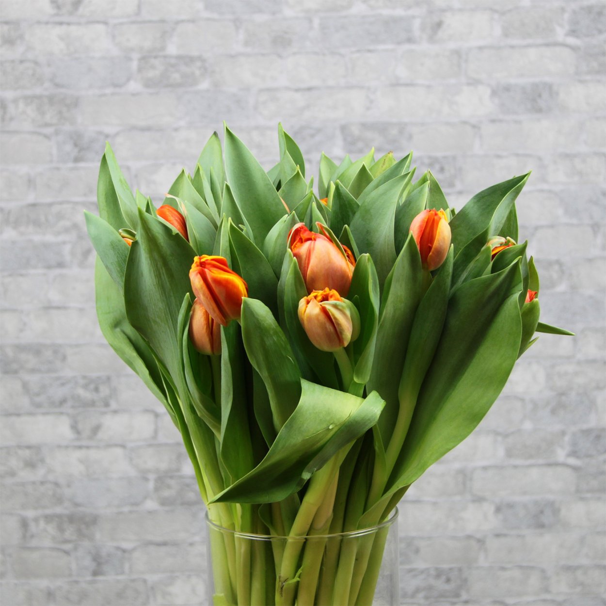 Тюльпан пионовидный оранжевый