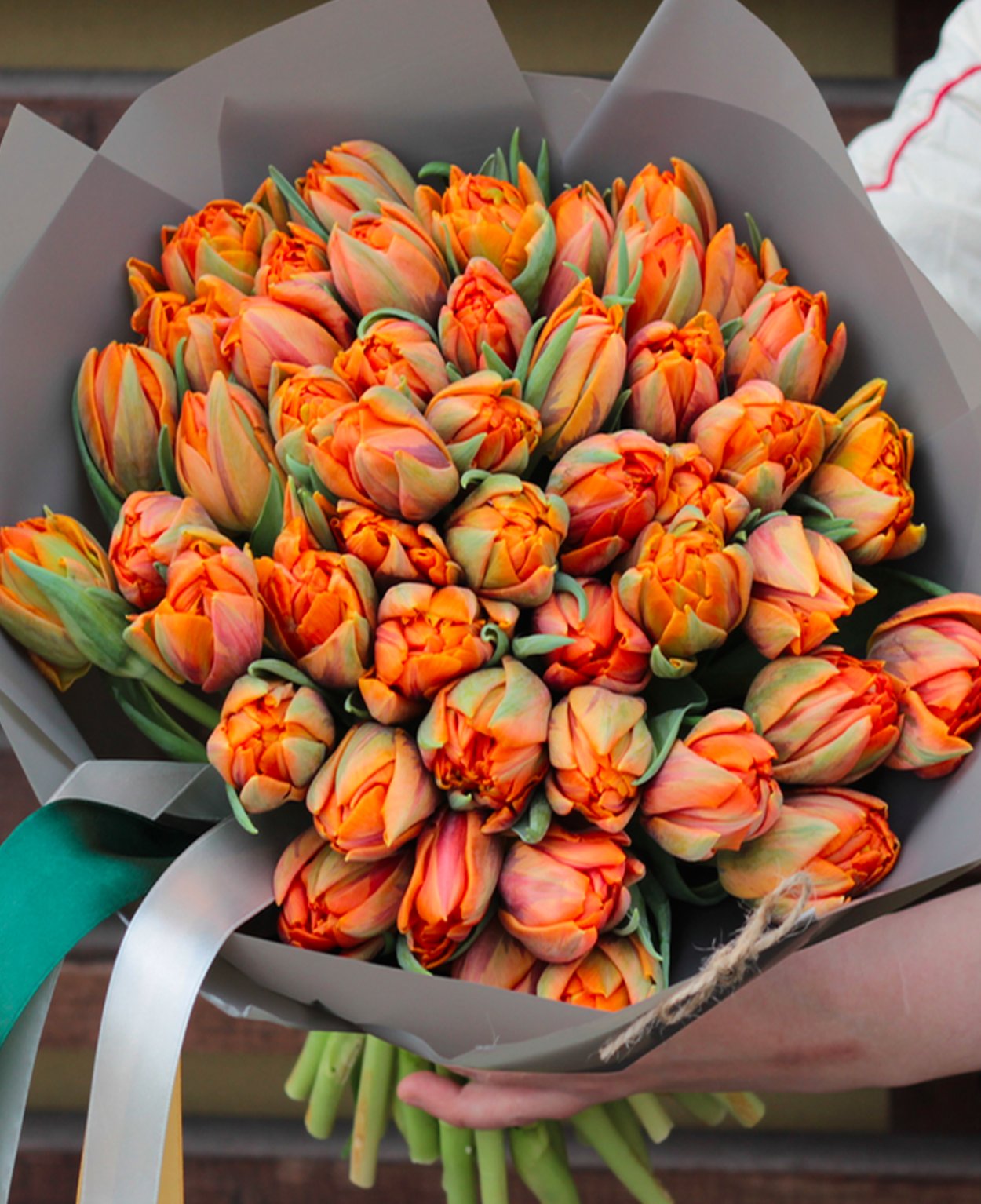 Apricot Parrot тюльпан