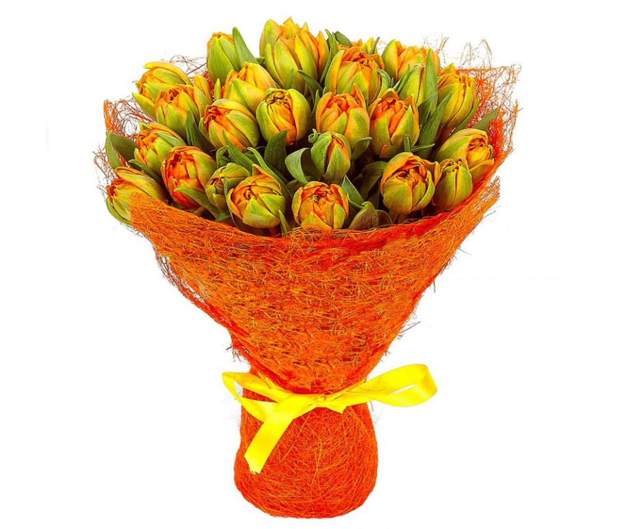 Тюльпан Монте оранж