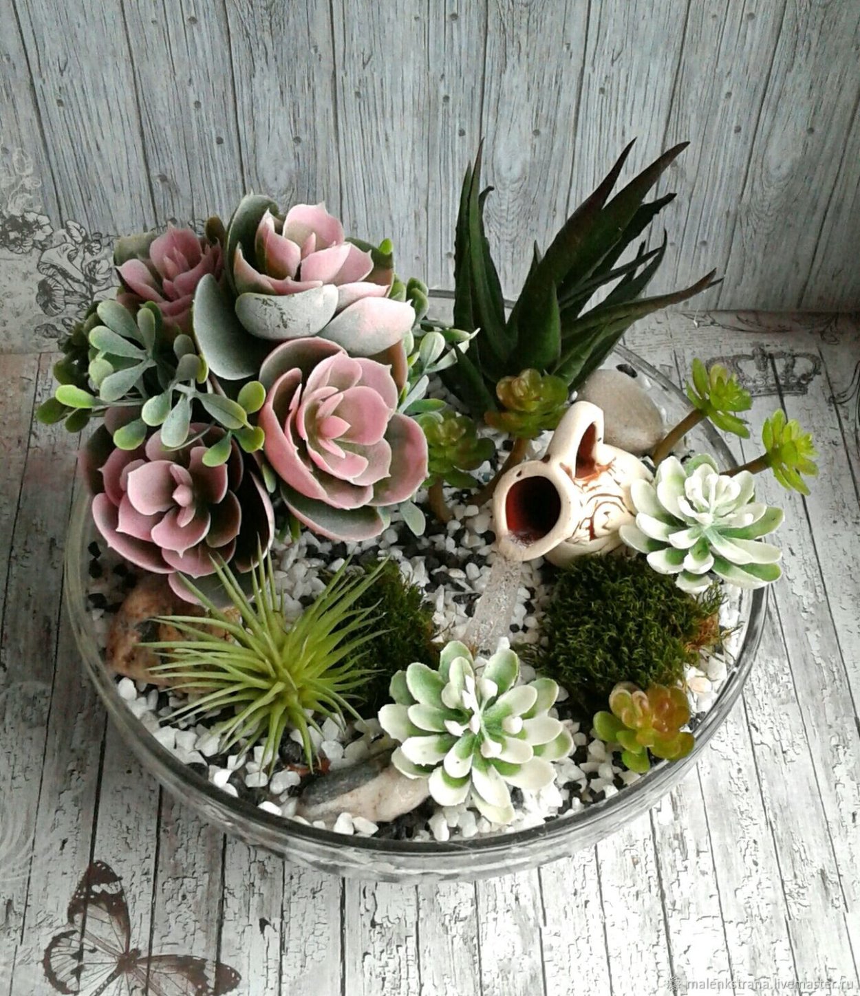 Дендрарий Суккуленты