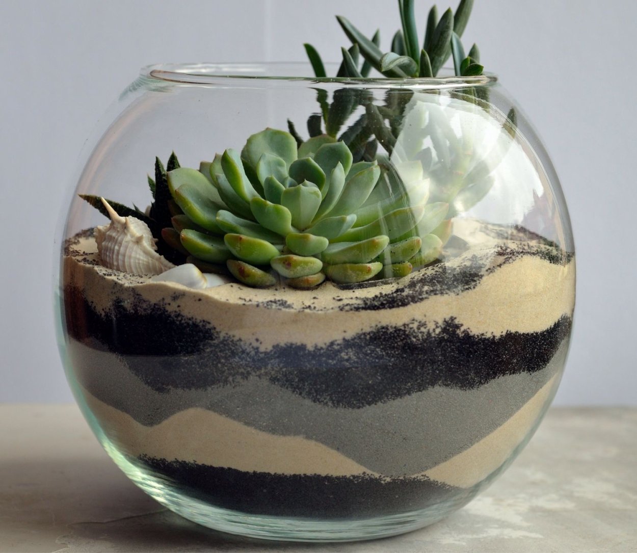 Флорариум с суккулентами
