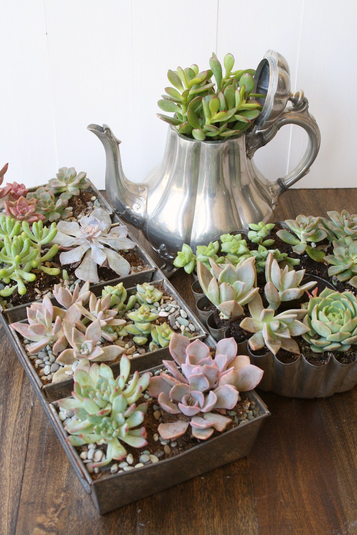 Плоский горшок для суккулентов