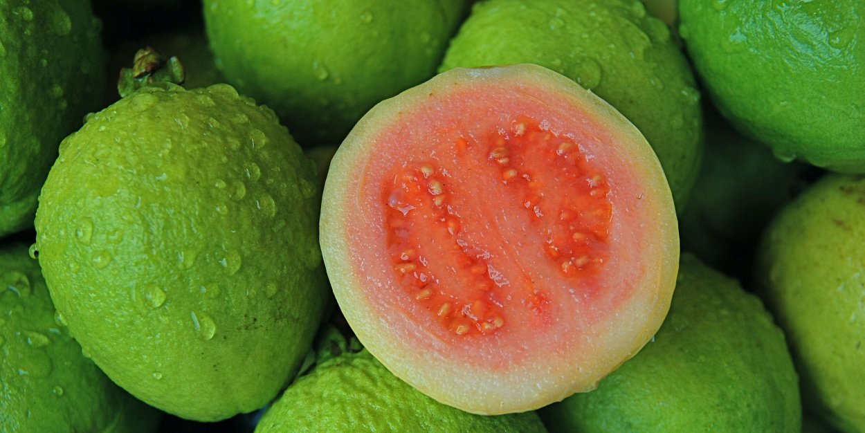 Плоды гуавы