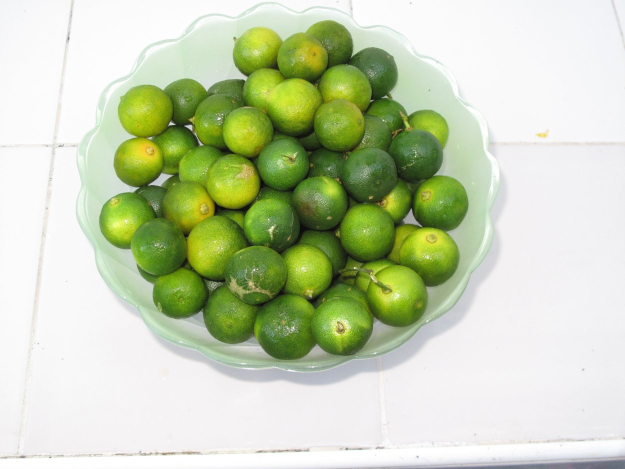 Гуава Бразилия