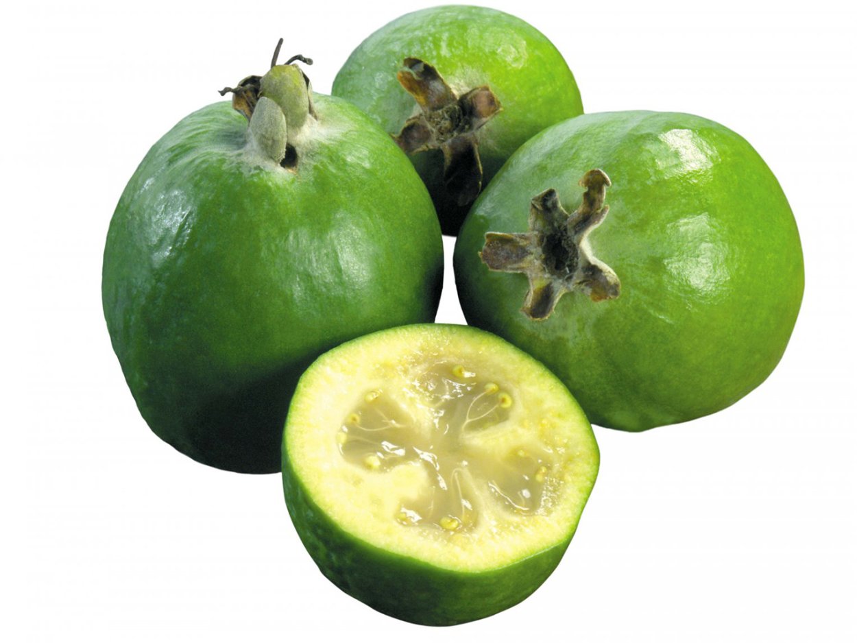 Плод фейхоа