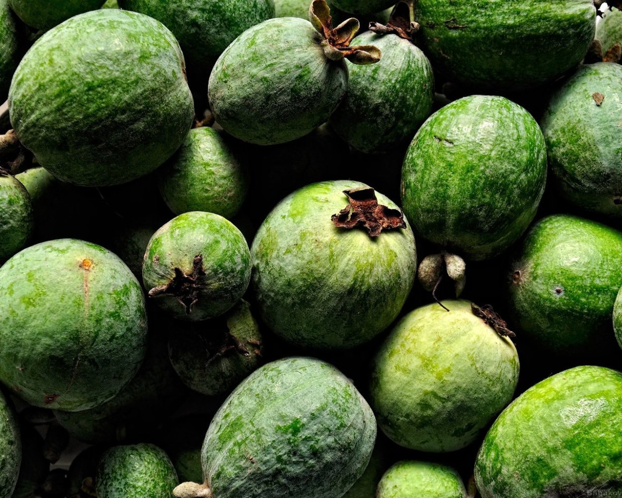 Фейхоа Абхазия