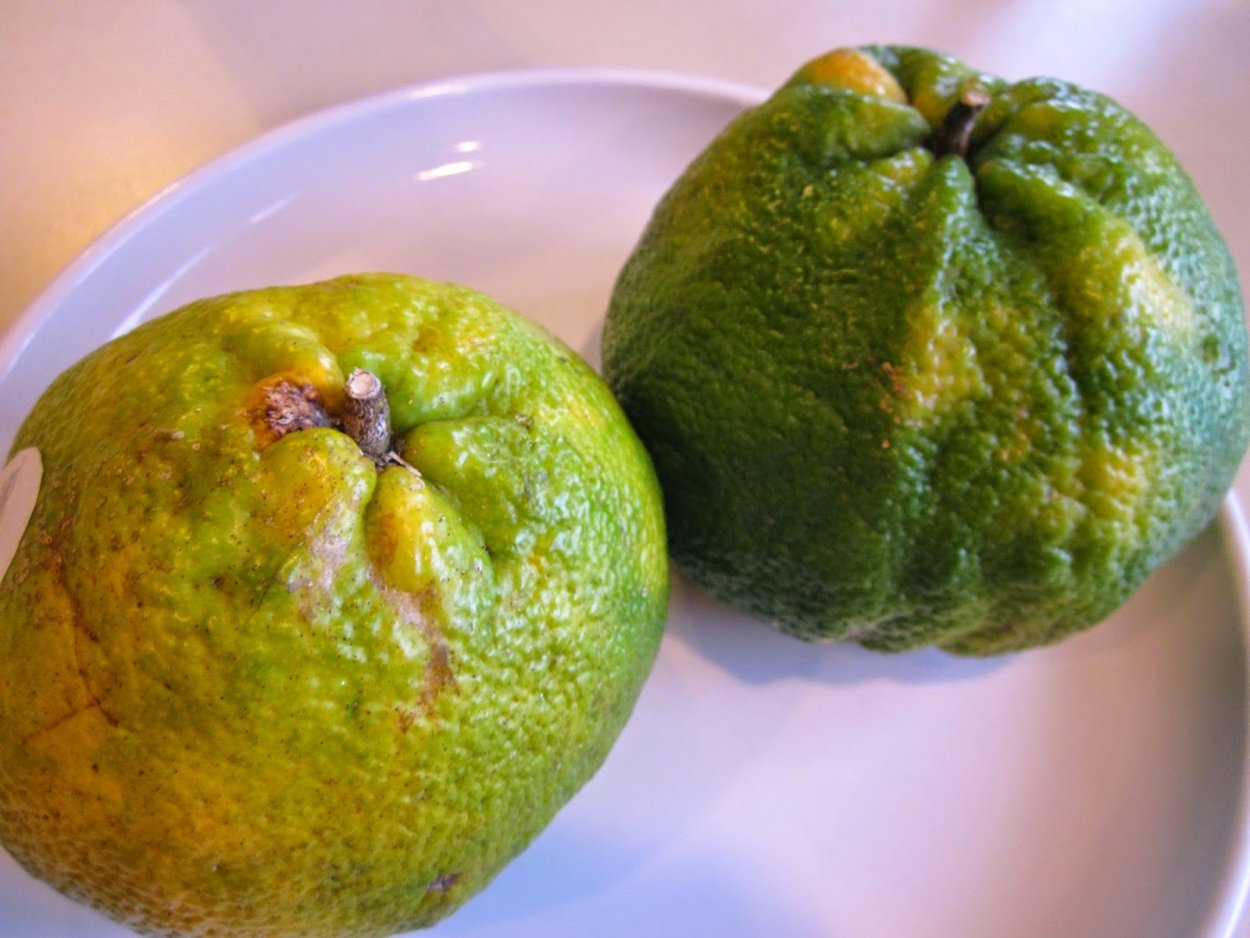 Модель банана