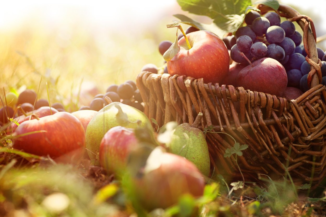 Плоды осени