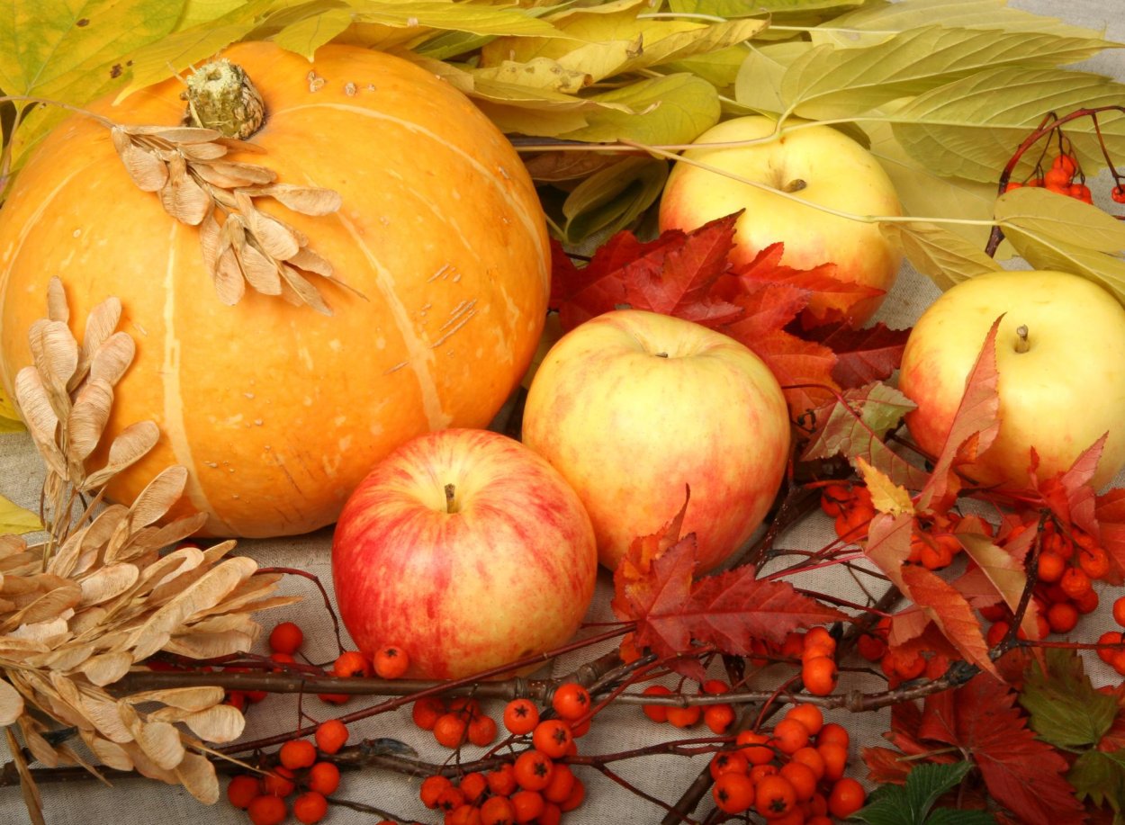 Тыква и яблоко