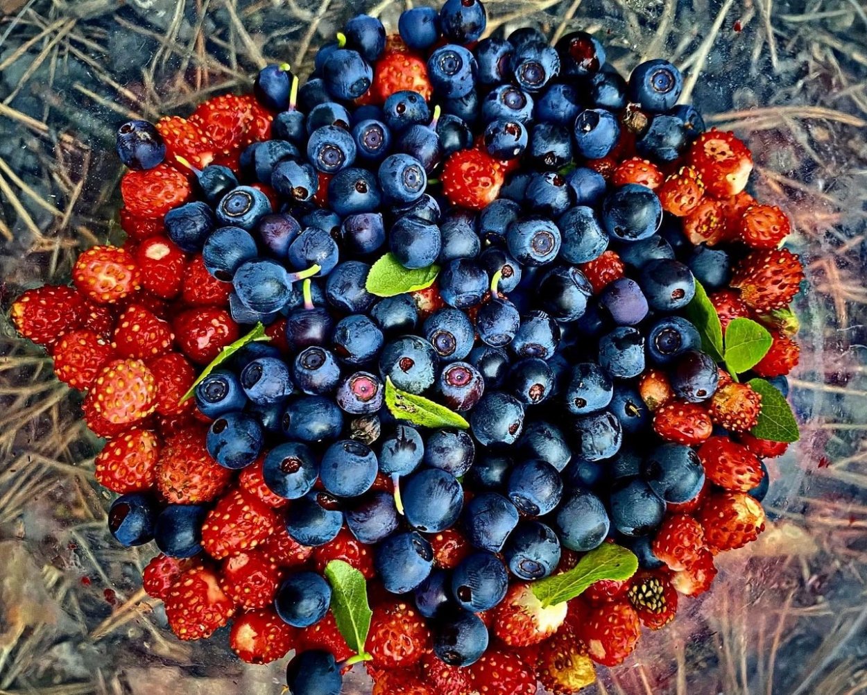 Лесные ягоды Урала