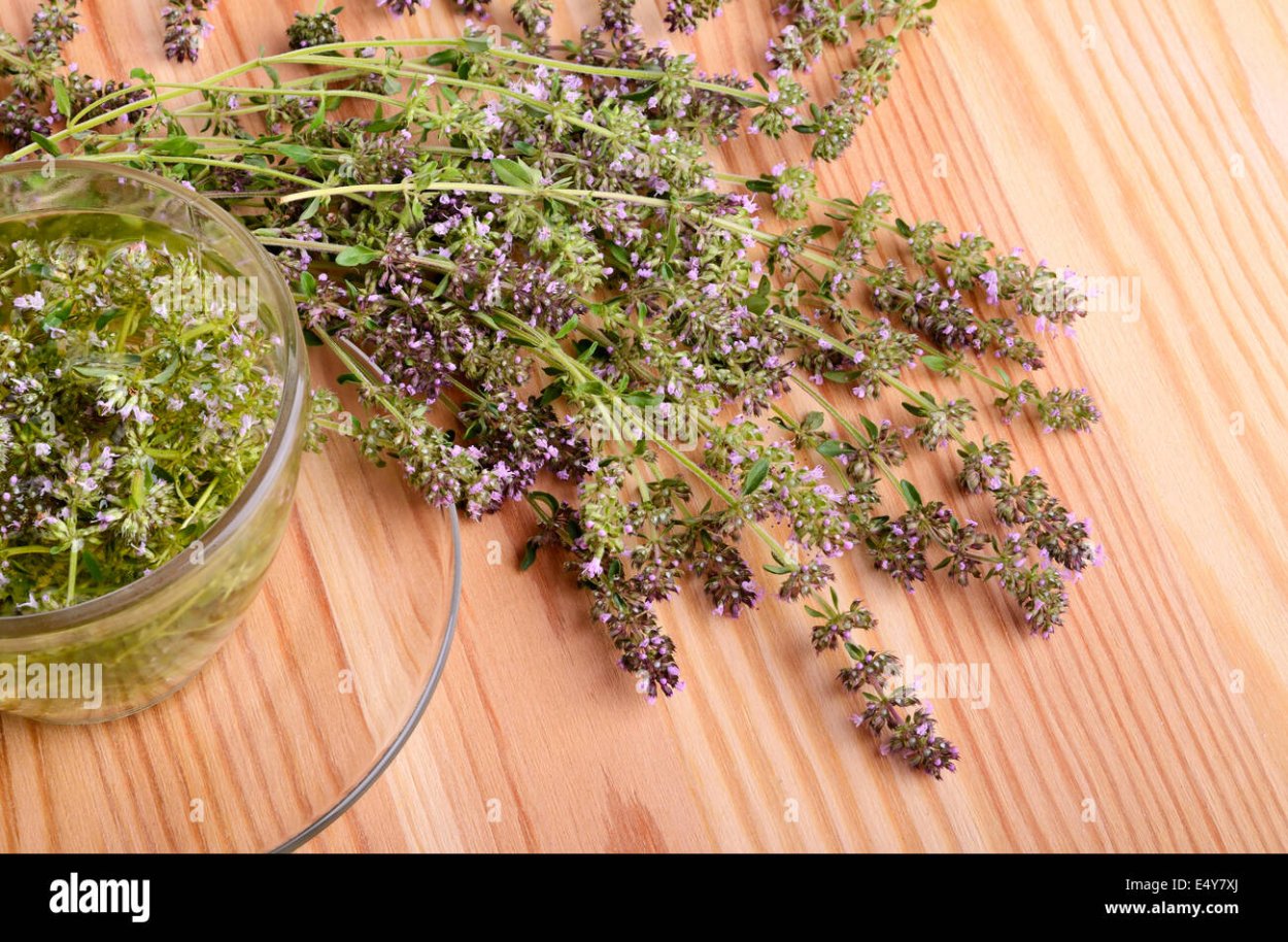 Тимьян ползучий применяется в кулинарии