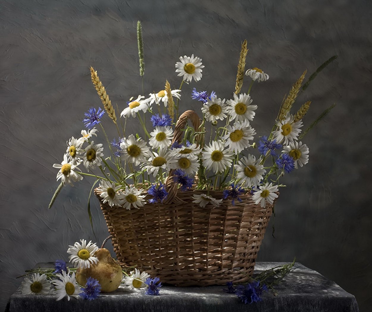 Полевые цветы