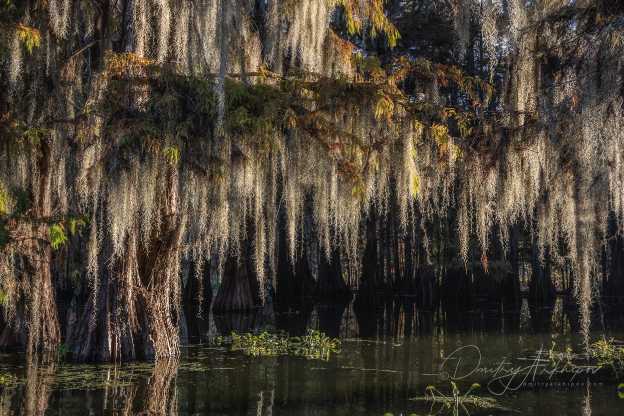 Пустой аватар человека