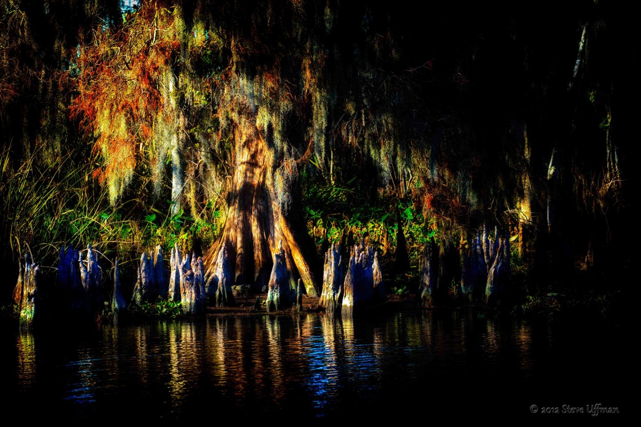 Болота Манчак США