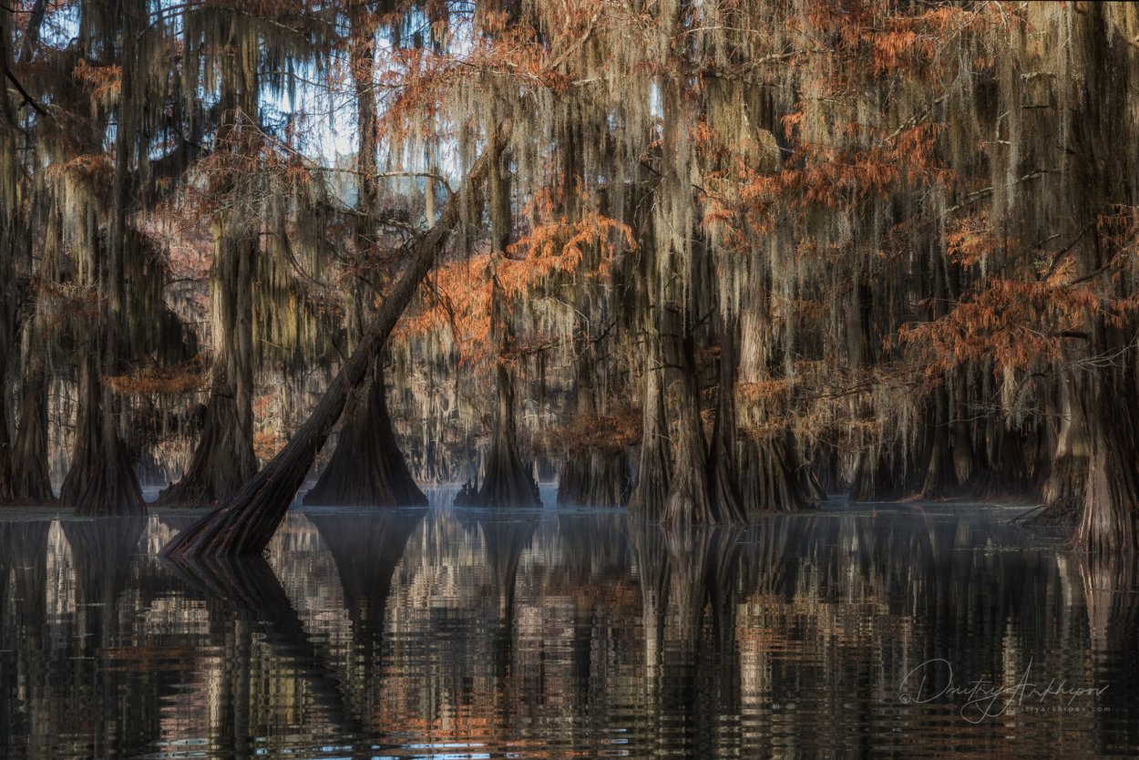 Штат Луизиана природа