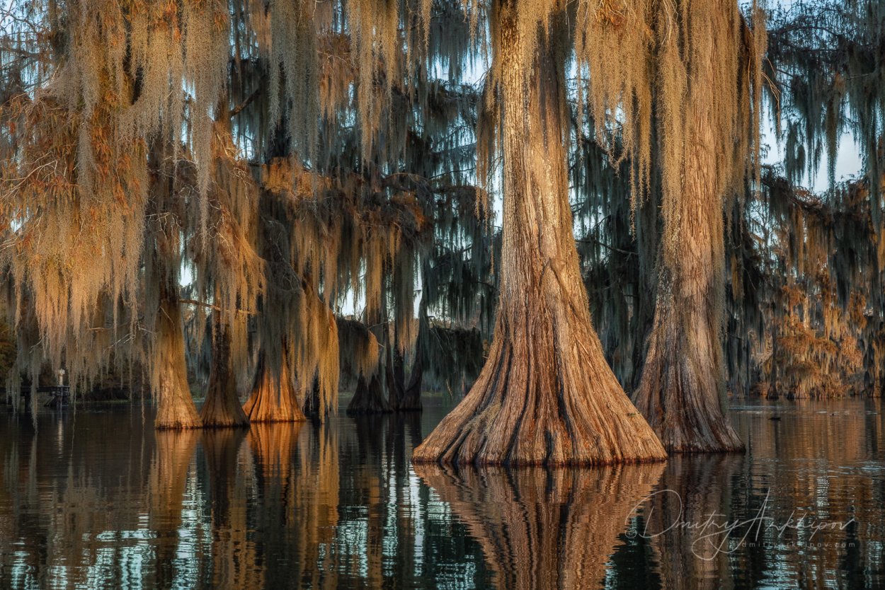 Gamakatsu Hook LS-2030b