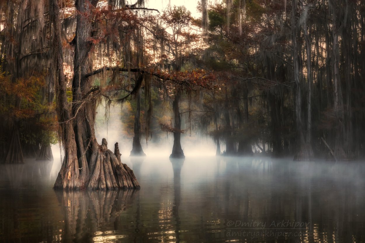 Болото Манчак, США, штат Луизиана