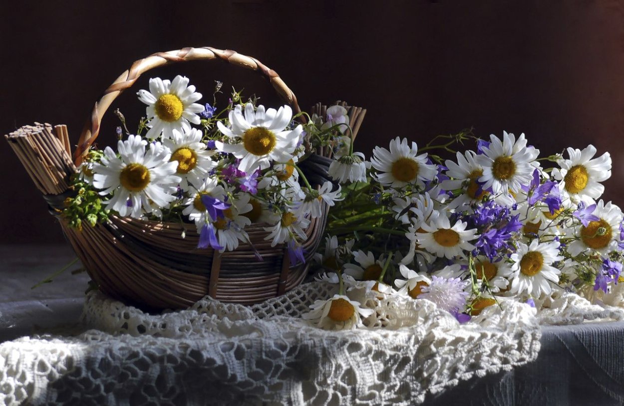 Лукошко полевых цветов на белом