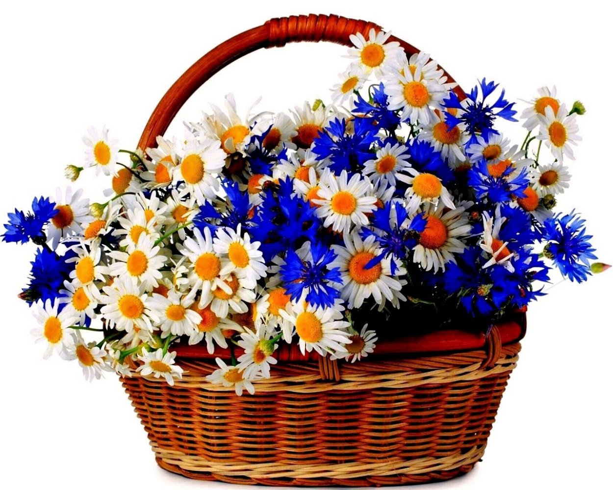 Корзина лесных цветов