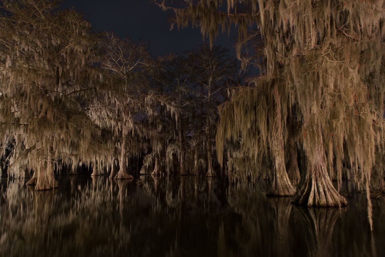 Луизиана штат США природа