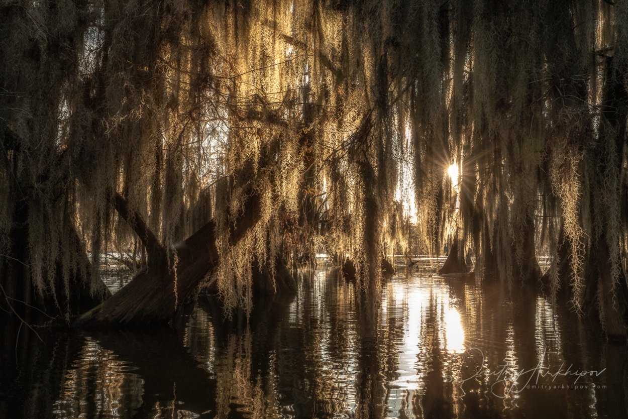 Топкое болото