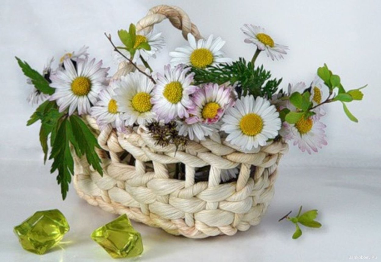 Корзина с полевыми цветами