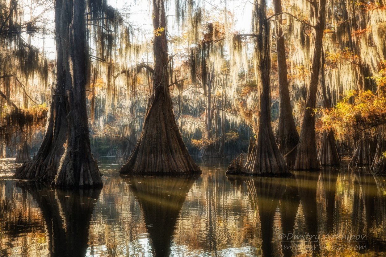 Болото Манчак