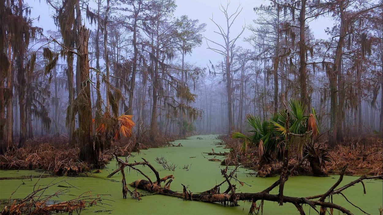 Манчак в Луизиане