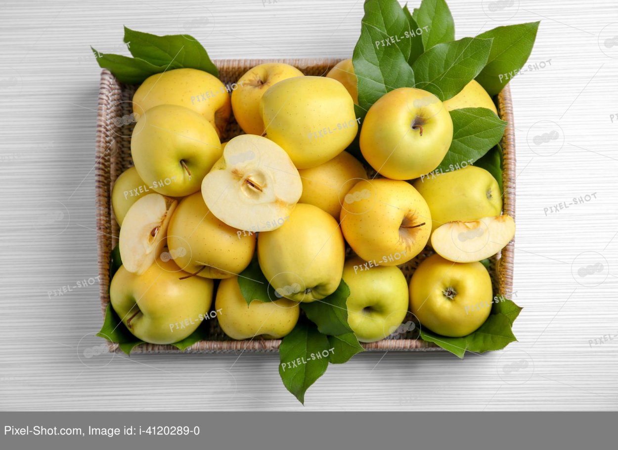 Лучшие сорта яблок