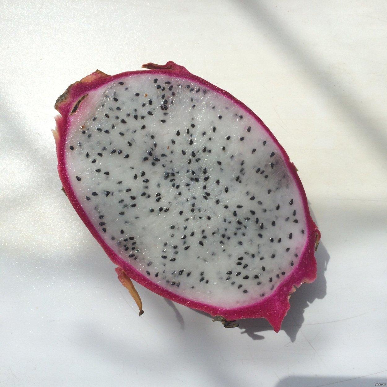 Салак «змеиный плод»